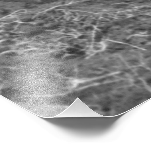 ヴィンテージの写真:メキシコの農家と牛 フォトプリント (角)