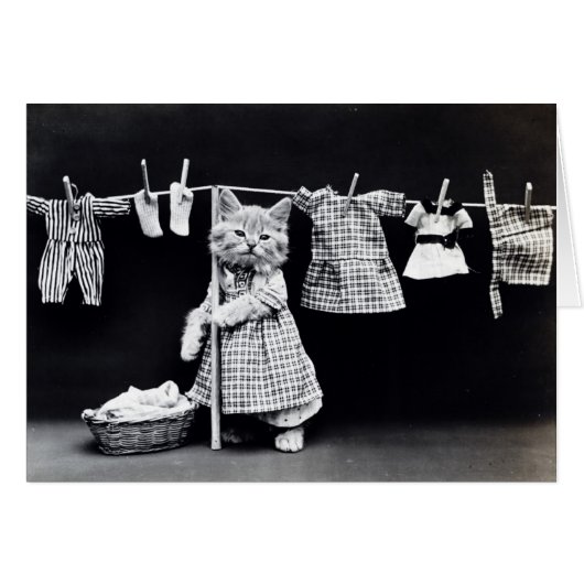 ヴィンテージの写真-子猫のぶら下がったな洗濯、 (正面横)