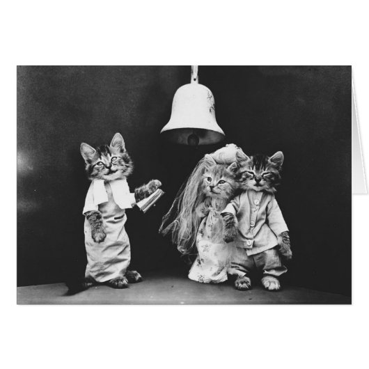 ヴィンテージの写真-子猫猫の結婚式、 (正面横)