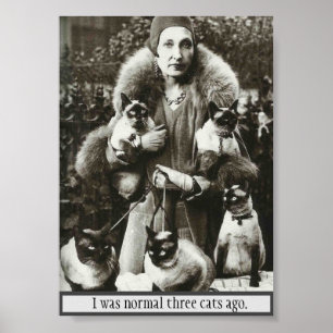 ヴィンテージの写真:Woman & 5 Siamese Cats, ポスター