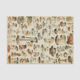 ヴィンテージの切り離しティッシュペーパー 薄葉紙