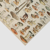 ヴィンテージの切り離しティッシュペーパー 薄葉紙 (詳細)