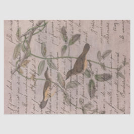 ヴィンテージの切り離し書のある枝鳥 薄葉紙