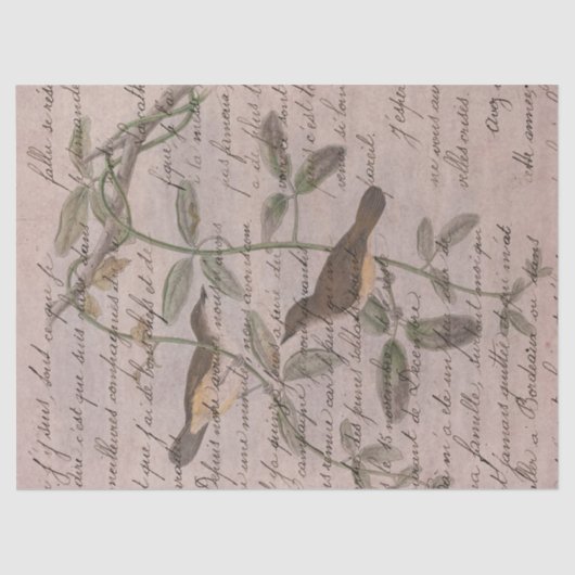 ヴィンテージの切り離し書のある枝鳥 薄葉紙 (正面)