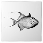 ヴィンテージの制動機の魚の旧式なハワイのプリントのブランク タイル (正面)