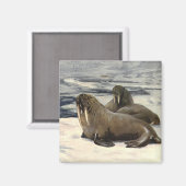 ヴィンテージの北極雪でのウォーリーズCE Swan マグネット (正面/裏面)