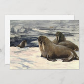 ヴィンテージの北極雪でのウォーリーズCE Swan 招待状 (正面/裏面)