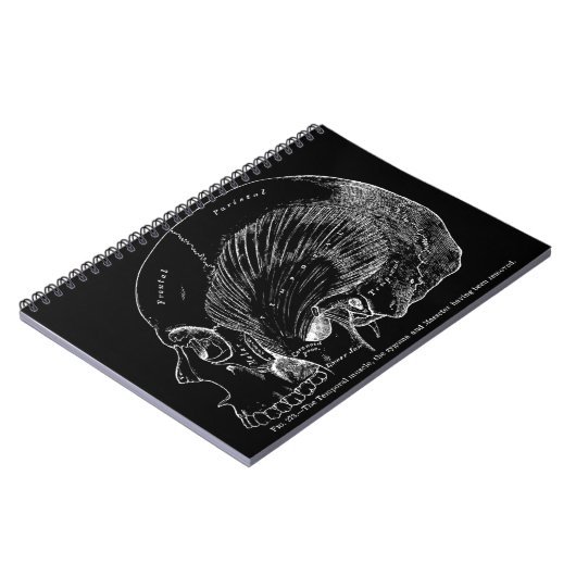 ヴィンテージの医学のスケッチの人間の一時的な筋肉 ノートブック (左側)