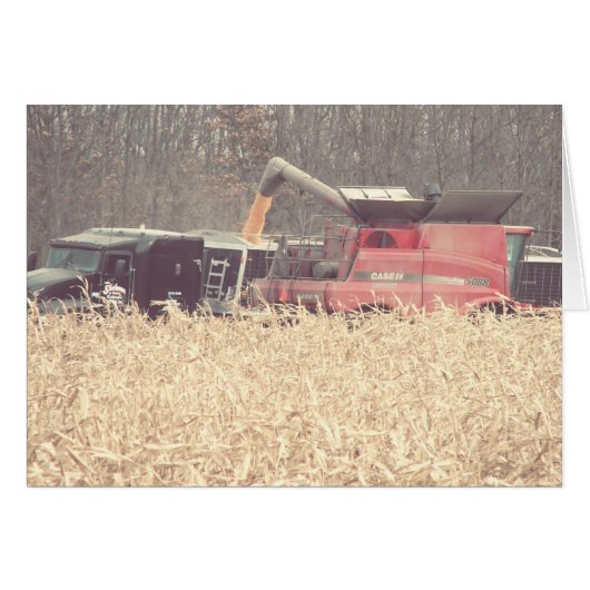 ヴィンテージの収穫 (正面横)