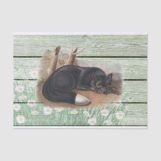 ヴィンテージの古い緑の木目テクスチャアメリカキツネ 薄葉紙 (正面)