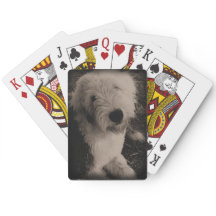 ヴィンテージの古い英国の牧羊犬