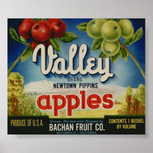 ヴィンテージの古いAppleのフルーツの木枠のラベル ポスター