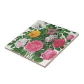 ヴィンテージの咲き誇る花々、春の庭園のバラ タイル (側面)