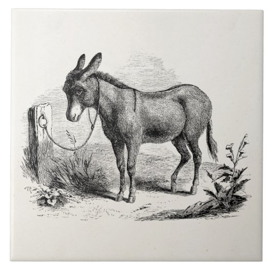 ヴィンテージの国内ろばのパーソナライズなレトロのろば タイル (正面)