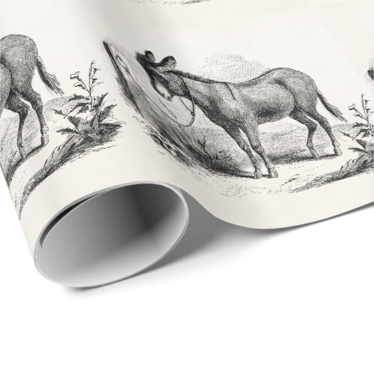 ヴィンテージの国内ろばのパーソナライズなレトロのろば ラッピングペーパー (ロールコーナー)