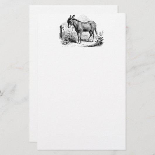 ヴィンテージの国内ろばのパーソナライズなレトロのろば 便箋 (正面/裏面)