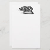 ヴィンテージの国内ブタのイラストレーション- 1800'sブタ 便箋 (正面/裏面)