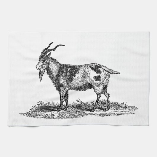 ヴィンテージの国内ヤギのイラストレーション- 1800'sヤギ キッチンタオル (横)