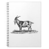 ヴィンテージの国内ヤギのイラストレーション- 1800'sヤギ ノートブック (正面)