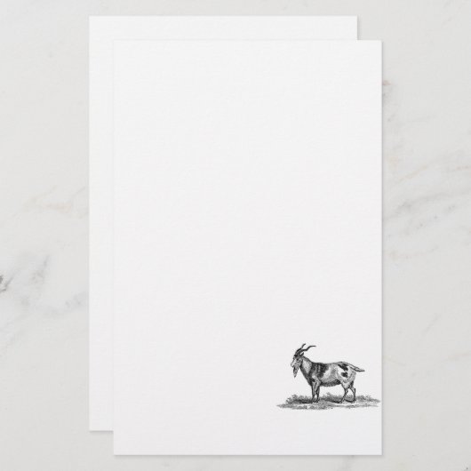 ヴィンテージの国内ヤギのイラストレーション- 1800'sヤギ 便箋 (正面/裏面)