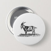 ヴィンテージの国内ヤギのイラストレーション- 1800'sヤギ 缶バッジ (正面&裏面)