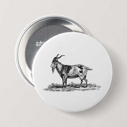 ヴィンテージの国内ヤギのイラストレーション- 1800'sヤギ 缶バッジ (正面&裏面)