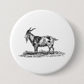 ヴィンテージの国内ヤギのイラストレーション- 1800'sヤギ 缶バッジ (正面)
