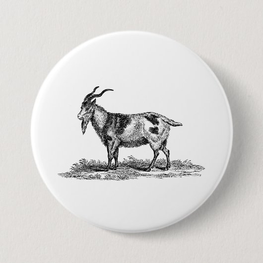ヴィンテージの国内ヤギのイラストレーション- 1800'sヤギ 缶バッジ (正面)