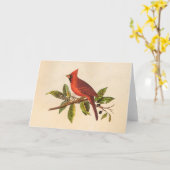 ヴィンテージの基本的な歌の鳥のイラストレーション- 1800's カード (黄色い花)