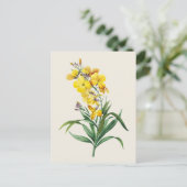 ヴィンテージの壁花植物図鑑 ポストカード (スタンド正面)