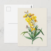 ヴィンテージの壁花植物図鑑 ポストカード (正面/裏面)