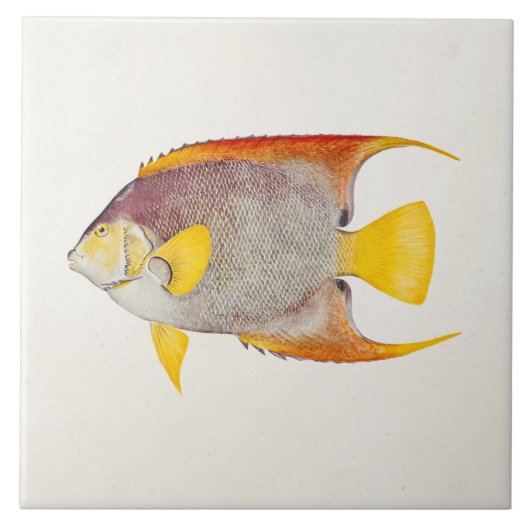 ヴィンテージの天使の魚の旧式なハワイのプリントのテンプレート タイル (正面)