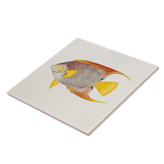 ヴィンテージの天使の魚の旧式なハワイのプリントのテンプレート タイル (側面)