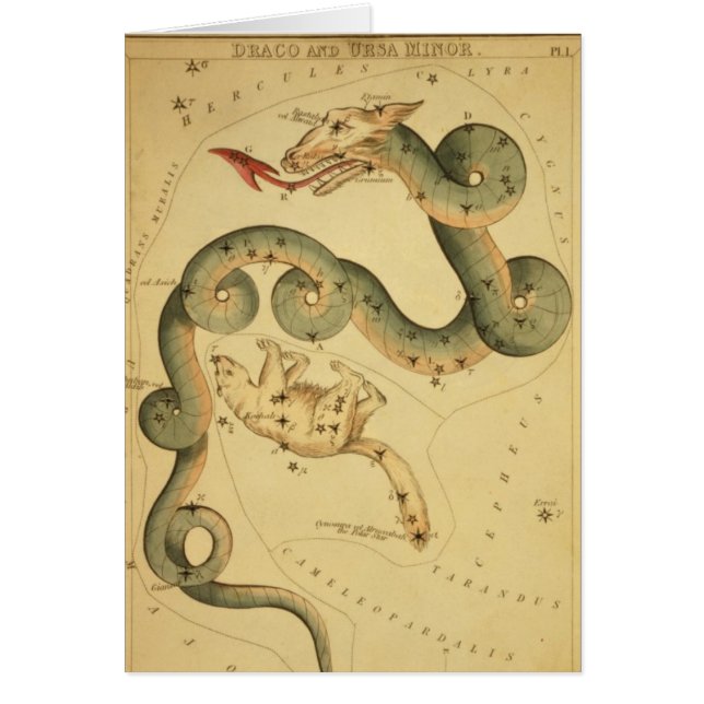 ヴィンテージの天文学のプリントの竜座及びこぐま座 (正面)