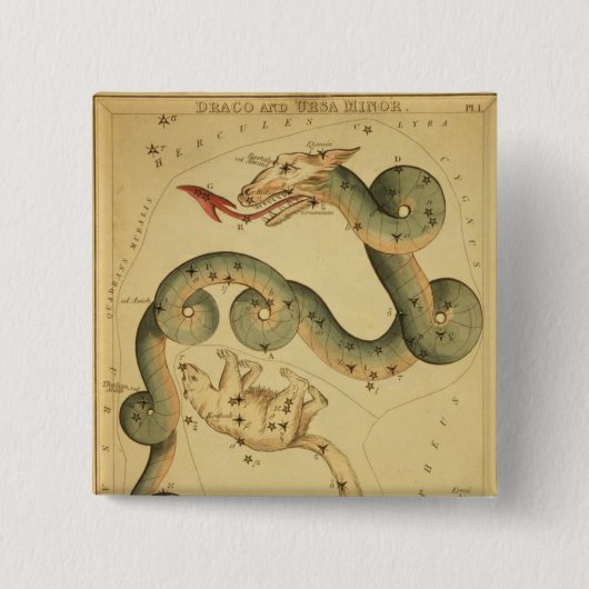 ヴィンテージの天文学のプリントの竜座及びこぐま座 缶バッジ (正面)