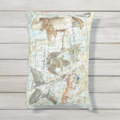 ヴィンテージの天球図の星座 アウトドアクッション (裏面(縦))