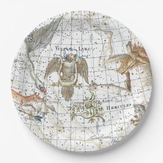 ヴィンテージの天球図の星座 ペーパープレート (正面)