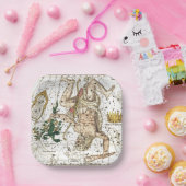 ヴィンテージの天球図の星座 ペーパープレート (パーティー)