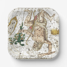 ヴィンテージの天球図の星座