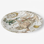 ヴィンテージの天球図の星座 ペーパープレート (アングル)