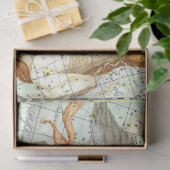 ヴィンテージの天球図の星座 薄葉紙 (ギフト)