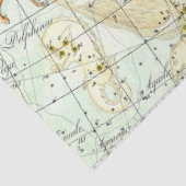ヴィンテージの天球図の星座 薄葉紙 (詳細)