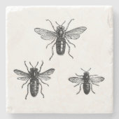 ヴィンテージの女王バチ及び働く蜂のイラストレーション ストーンコースター (正面)