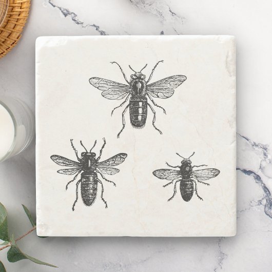 ヴィンテージの女王バチ及び働く蜂のイラストレーション ストーンコースター