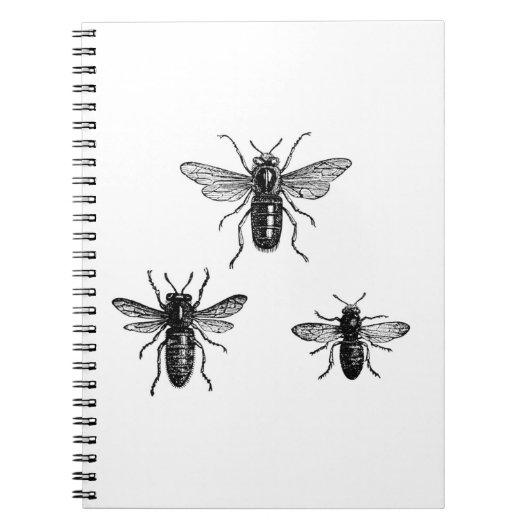 ヴィンテージの女王バチ及び働く蜂のイラストレーション ノートブック (正面)