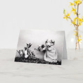 ヴィンテージの子犬および子ネコのメッセージカード カード (黄色い花)