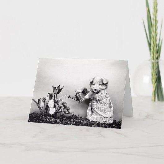 ヴィンテージの子犬および子ネコのメッセージカード カード (正面)