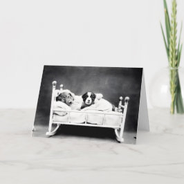 ヴィンテージの子犬および子ネコのメッセージカード カード