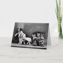 ヴィンテージの子犬および子ネコのメッセージカード カード