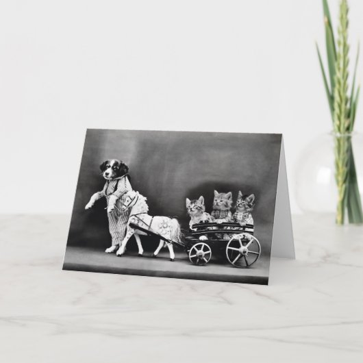 ヴィンテージの子犬および子ネコのメッセージカード カード (正面)